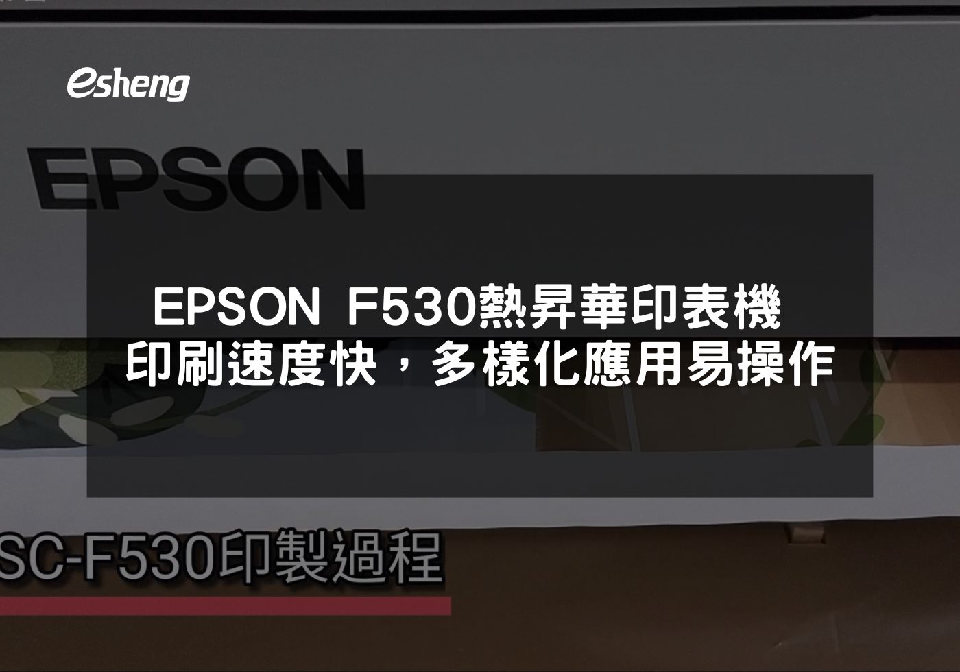 EPSON F530全面解析高品質熱昇華印刷技術